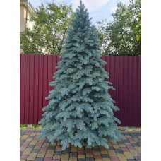 Лита ялинка Ковалівська 2.50 м. блакитна